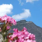 Gæstehus Apollo Perissa (Santorini)